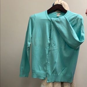 LL Bean Cardigan (mint green)